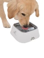 Pet Water Bowl - Image 2